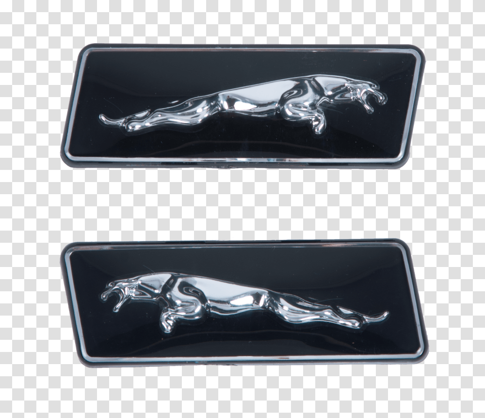 Solid Metal Jaguar Car Badge Xk R Jaguar, Hand, X-Ray, Ct Scan, Medical Imaging X-Ray Film Transparent Png
