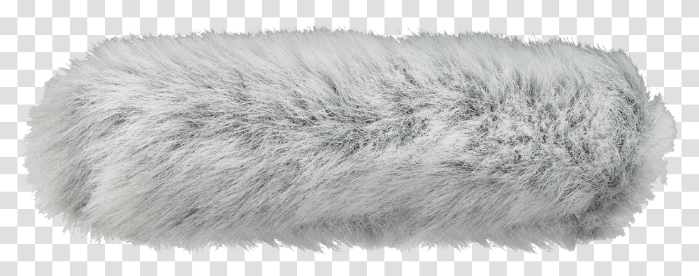 Solid, Rug, Fur, Bird, Animal Transparent Png