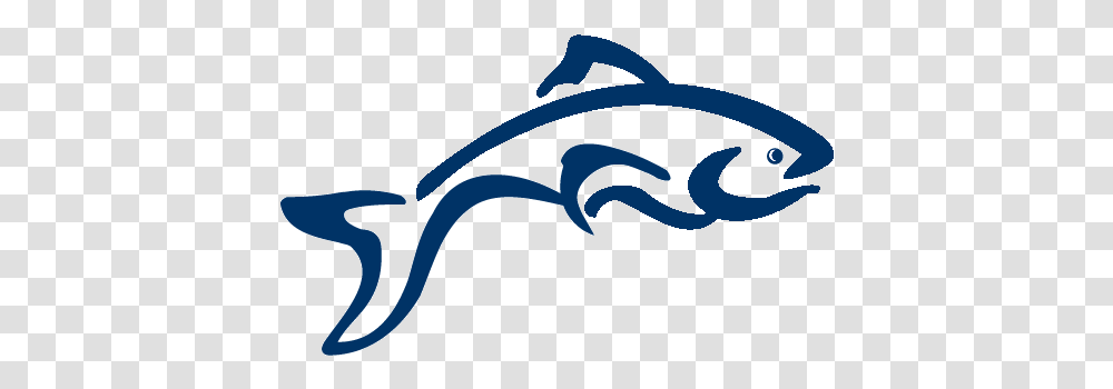 Solofish Studio Design And Strategy Logo Design Fish Logo, Animal, Wildlife, Mammal, Reptile Transparent Png