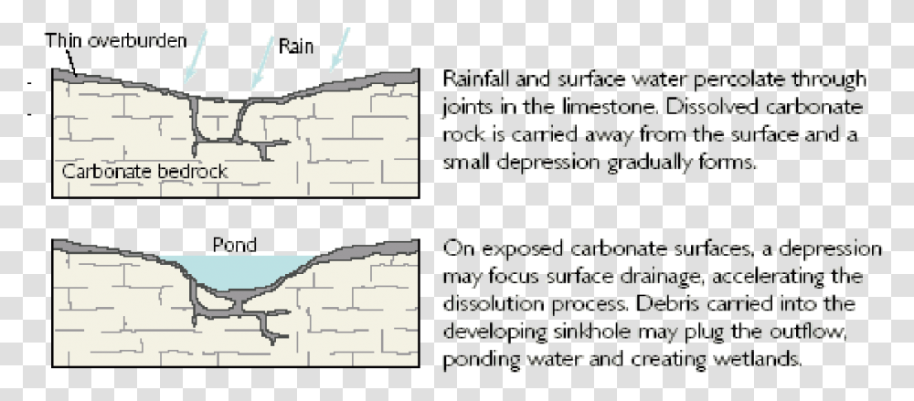 Solution Sinkhole Graphic Types Of Sinkholes, Plot, Vegetation, Plant Transparent Png