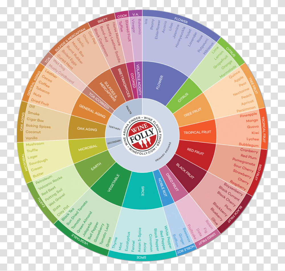 Solved Re Writing A Paragraphe Alongside Circle With V Wine Flavor Chart, Disk, Dvd, Symbol, Text Transparent Png