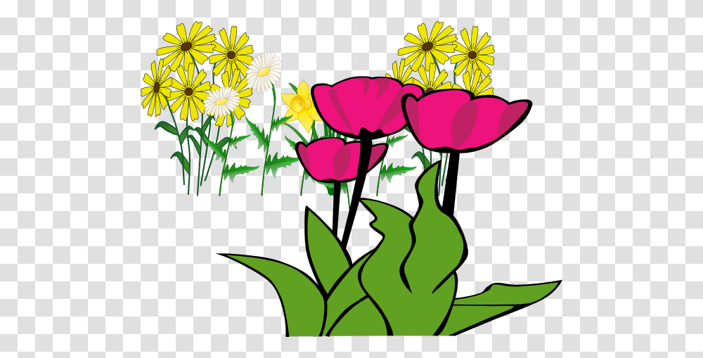 Some Flowers Clip Art, Plant, Blossom, Daisy, Daisies Transparent Png