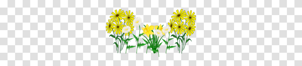 Some Flowers Clip Art, Plant, Daisy, Daisies, Blossom Transparent Png