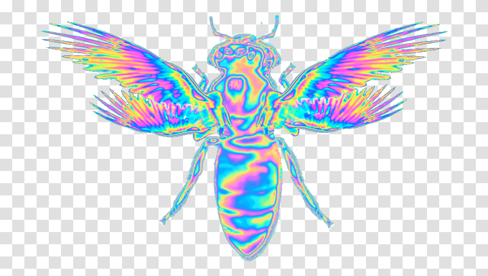 Some Holographic Gifs Ive Been Playing With Emojis Imagenes Tumblr, Insect, Invertebrate, Animal, Bird Transparent Png