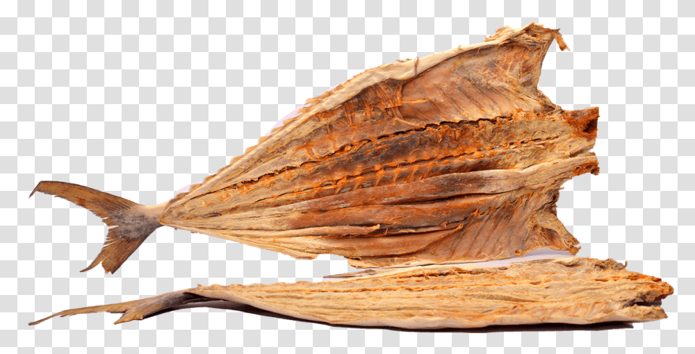 Sometimes It Is Noticed That On The Vacuum Pack A Water Dry Fish, Plant, Bird, Animal, Wood Transparent Png