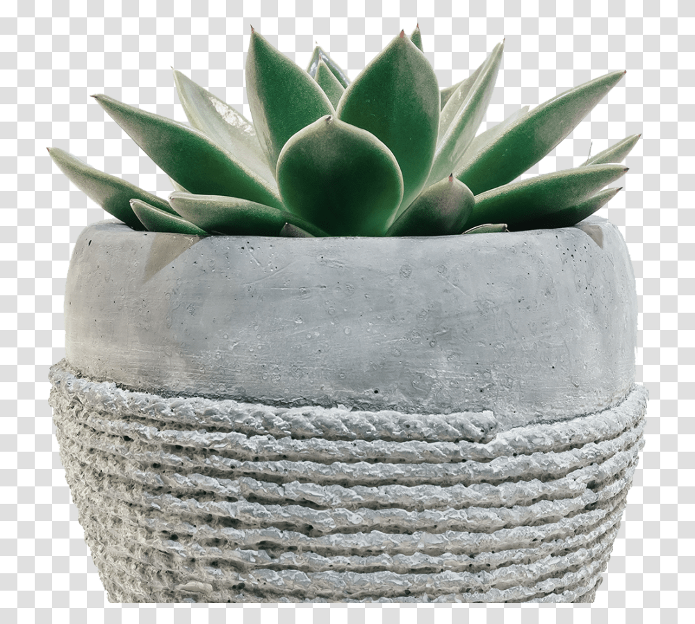 Sometimes It's Okay To Be Silent, Potted Plant, Vase, Jar, Pottery Transparent Png