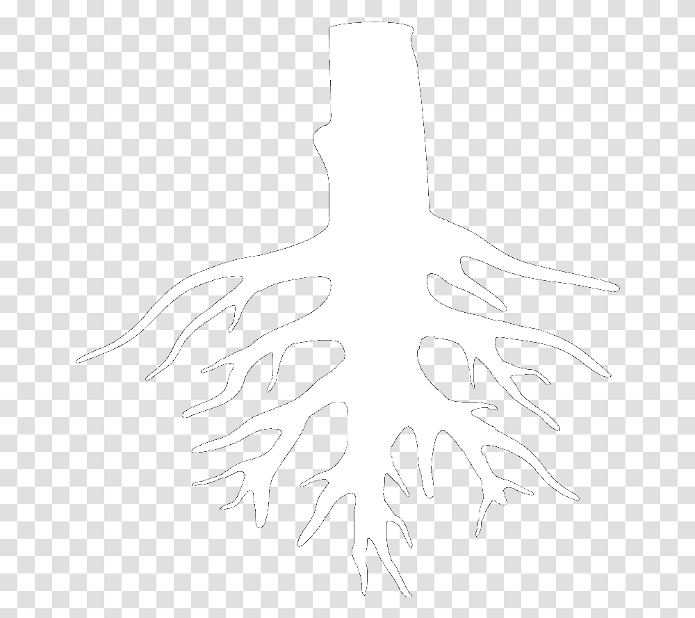 Song Go And Catch A Falling Star Poem Summary Analysis Sketch, Plant, Root, Stencil, Tree Transparent Png