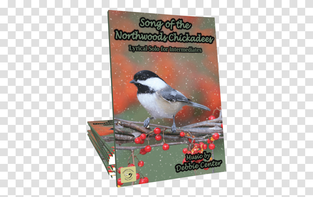 Song Of The Northwoods Chickadees By Debbie Center Music, Bird, Animal, Advertisement, Jay Transparent Png