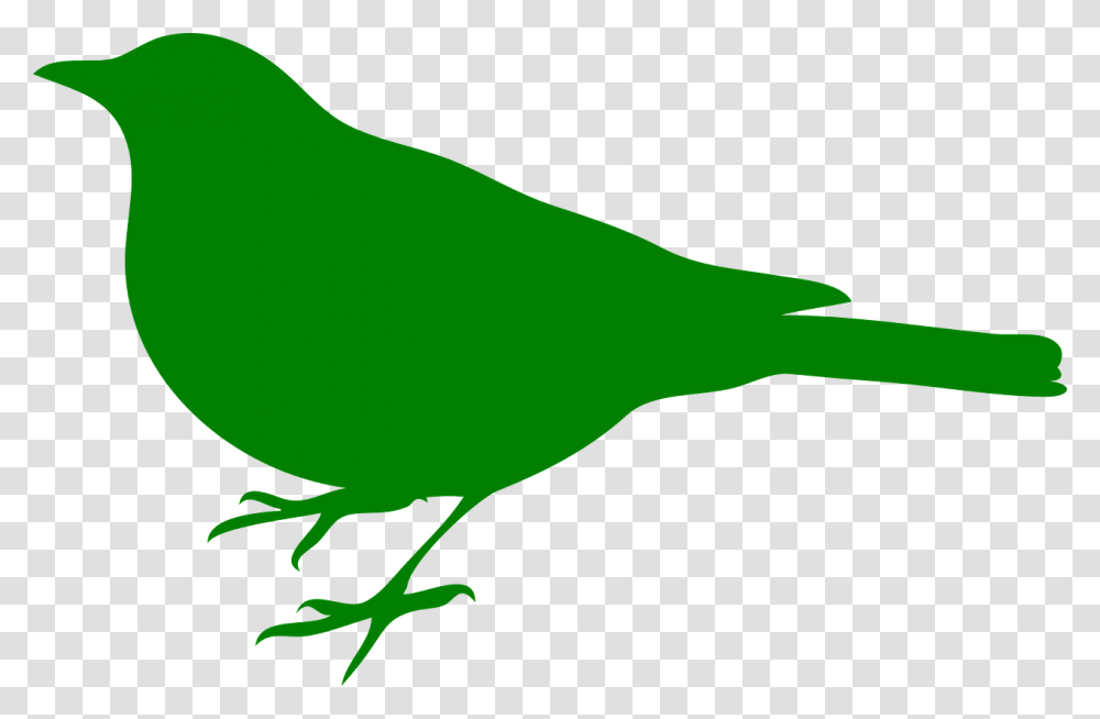 Songbird Clipart Green Bird Bird Silhouette Clip Art, Animal, Finch, Canary, Blackbird Transparent Png