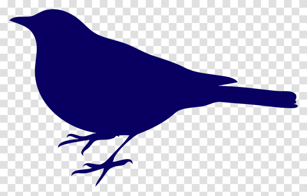 Songbird Clipart Pajaros Blue Bird Silhouette, Animal, Blackbird, Seagull, Mammal Transparent Png