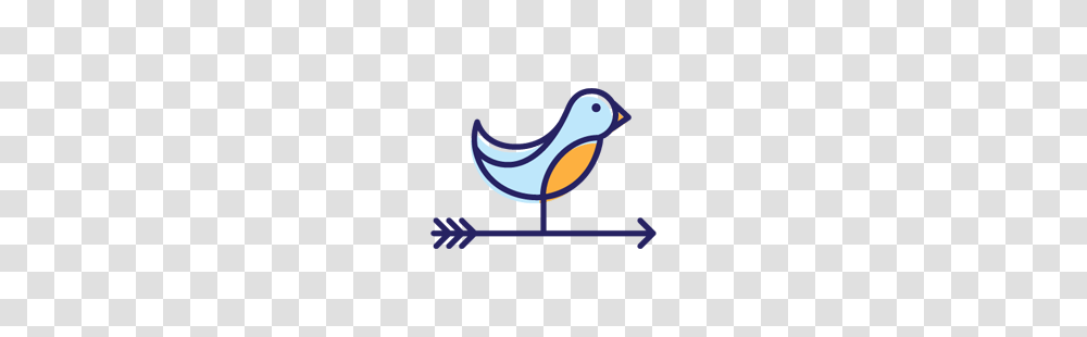 Songbird Clipart Perch, Animal, Swallow, Canary Transparent Png