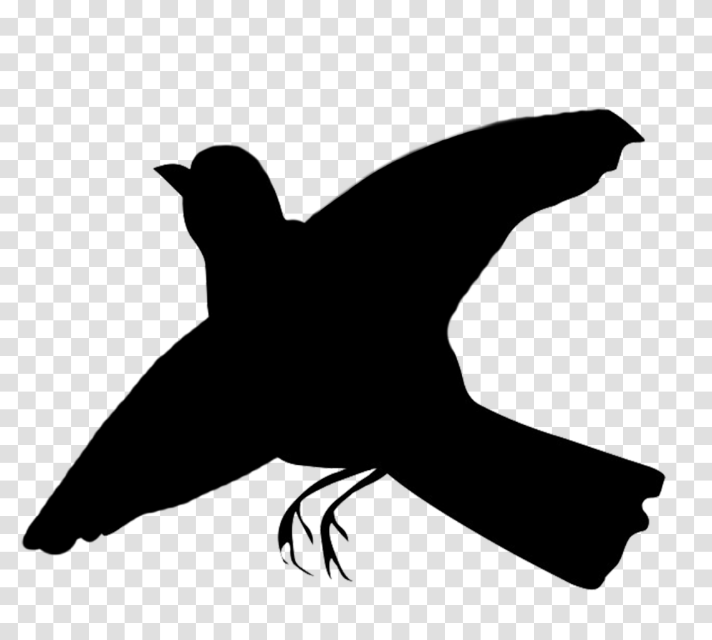 Songbird Clipart, Silhouette, Animal, Blackbird, Agelaius Transparent Png