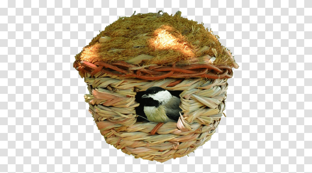 Songbird Essentials, Basket, Animal, Nest, Bird Nest Transparent Png