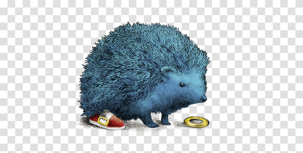 Sonic Baby Onesie Blauer Igel, Hedgehog, Mammal, Animal, Porcupine Transparent Png