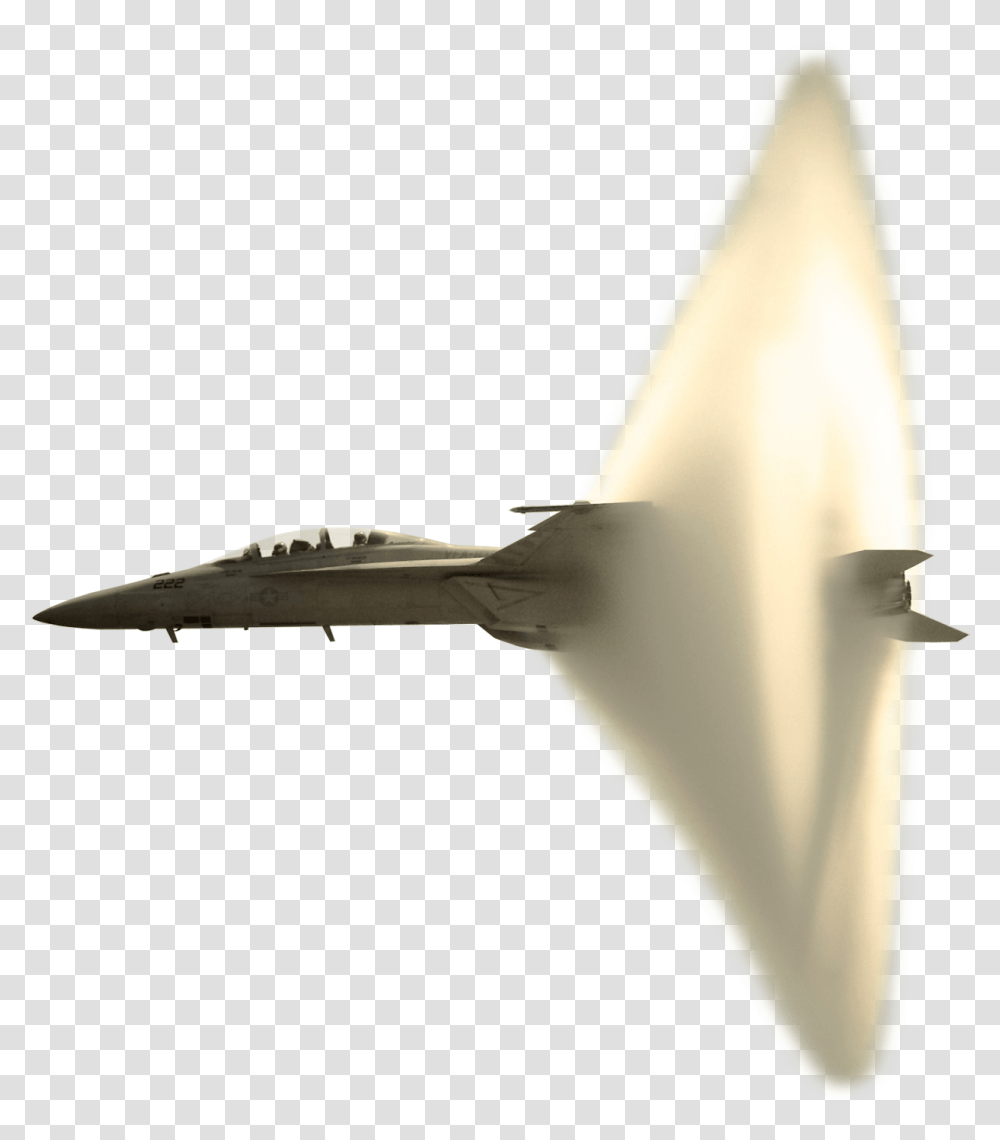 Sonic Boom, Animal, Flying, Bird, Airplane Transparent Png