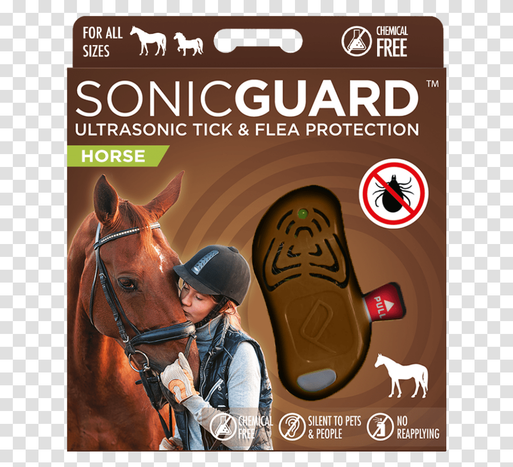 Sonic Guard, Person, Horse, Mammal Transparent Png