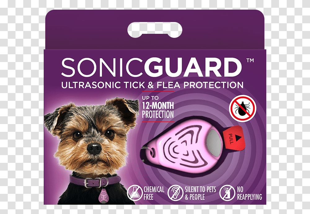 Sonicguard Human, Dog, Pet, Canine, Animal Transparent Png