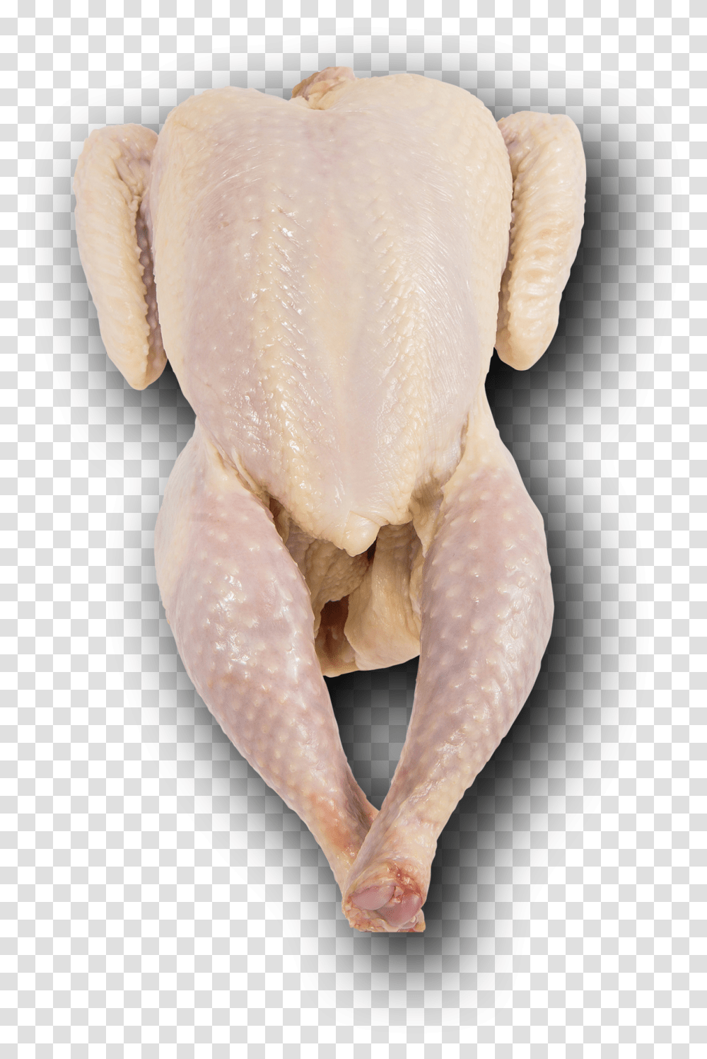 Sonoma Red Organic Pasture Raised Whole Chicken With True Frog, Bird, Animal, Poultry, Fowl Transparent Png