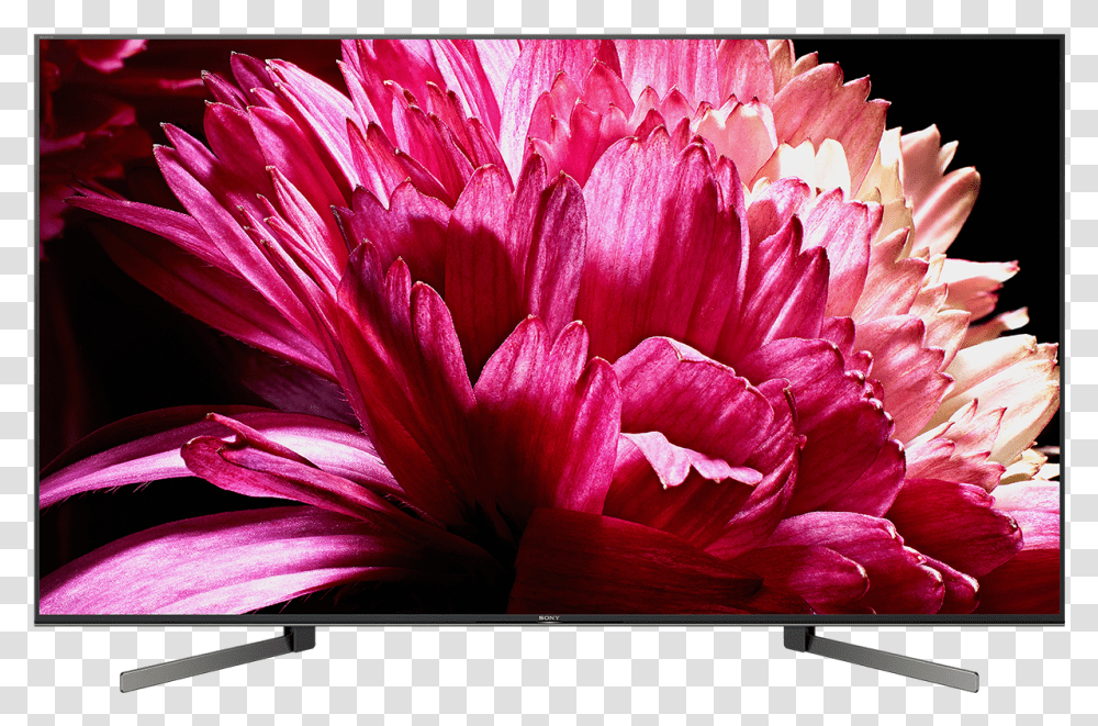 Sony Bravia Smart Tv 55 Inch, Plant, Flower, Blossom, Monitor Transparent Png