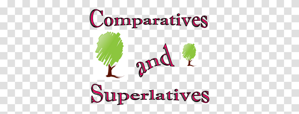 Soraya Morenos Blog Comparatives And Superlatives, Tree, Plant, Outdoors Transparent Png