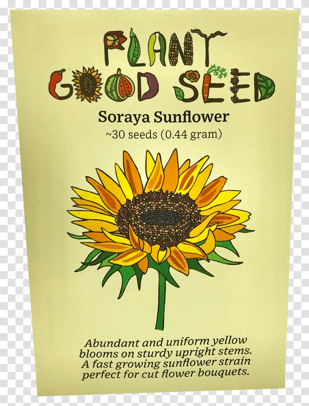 Soraya Sunflower Black Eyed Susan, Plant, Blossom, Paper, Poster Transparent Png