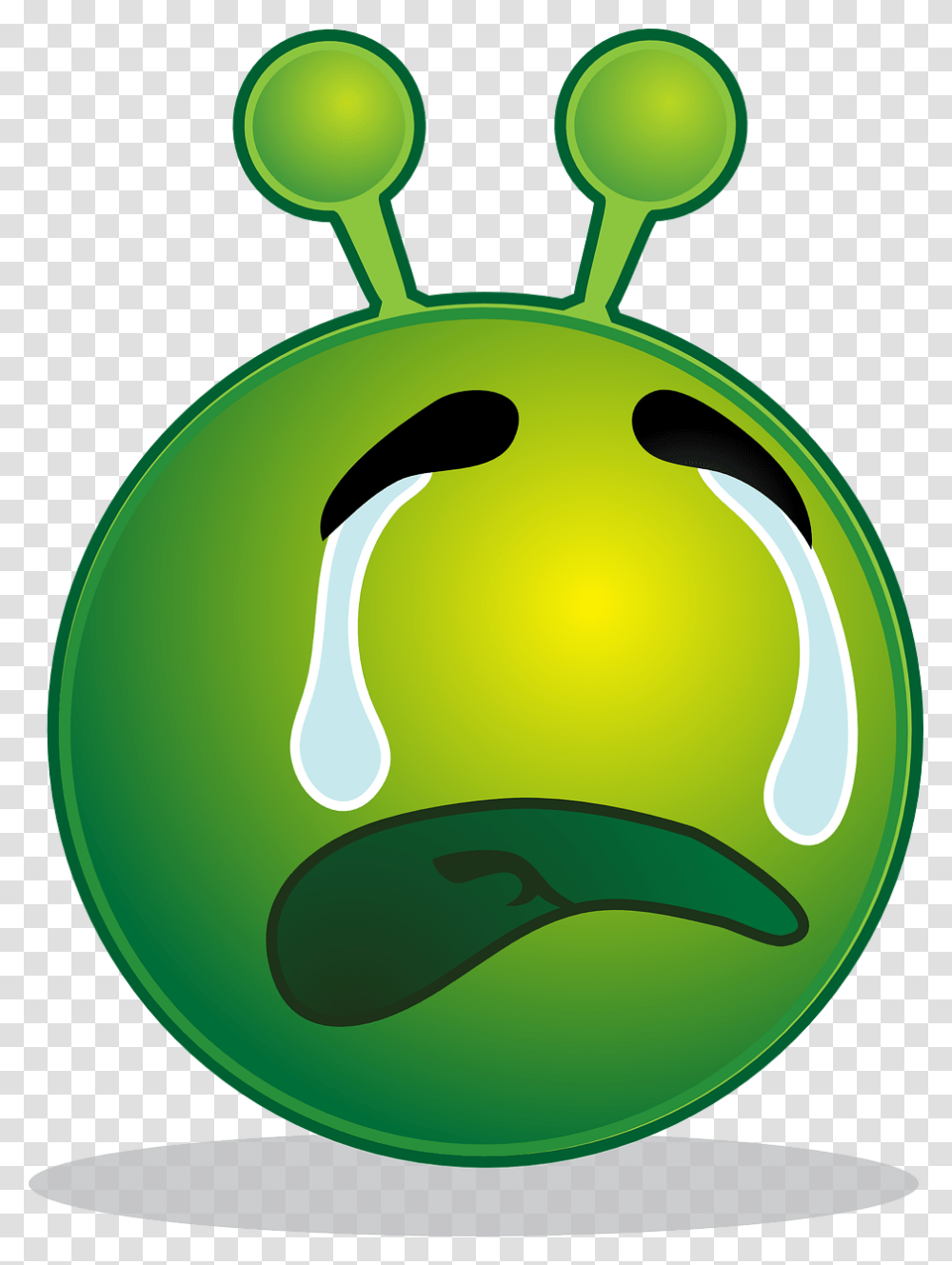 Sorry For Time Waste, Plant, Animal, Droplet, Water Transparent Png