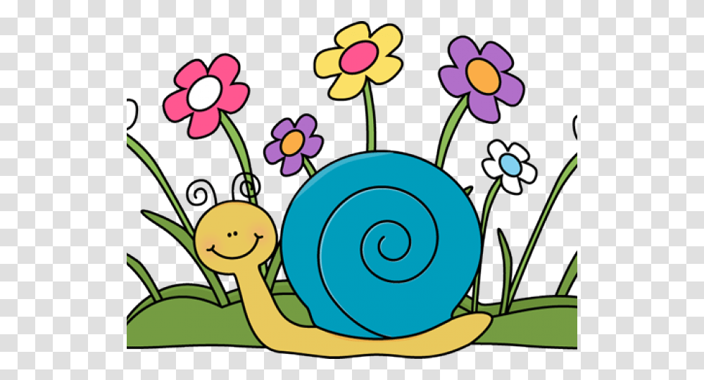 Sorry Happy Birthday Belated, Invertebrate, Animal, Snail Transparent Png