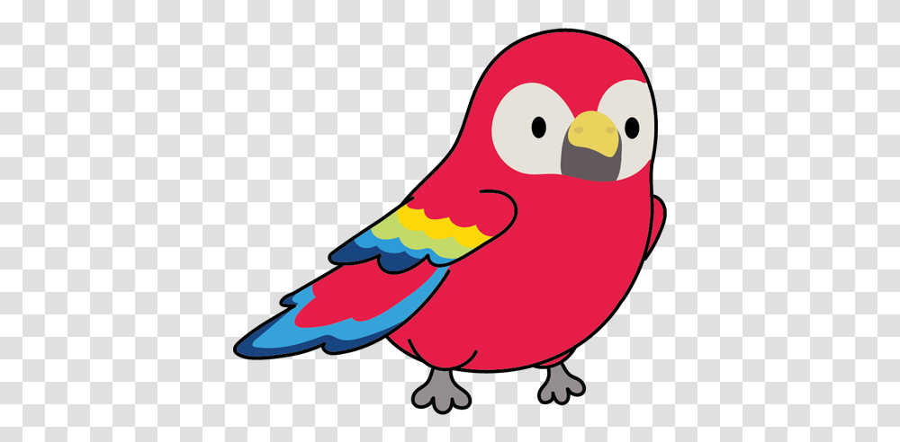 Sorry Ikomo Coming Soon Budgie, Bird, Animal, Beak, Parrot Transparent Png