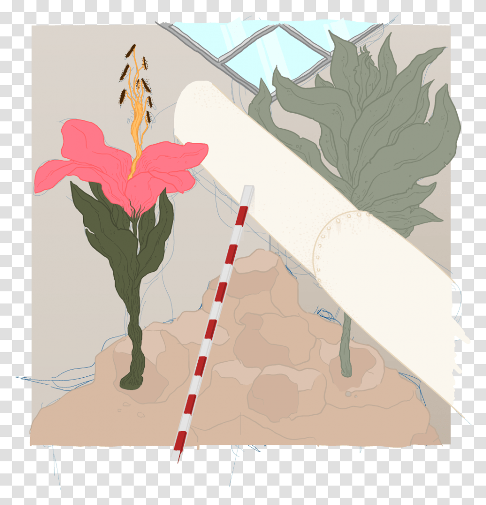 Sorta Work In Progress But Ill Probably Leave It At Illustration, Plant, Scroll, Flower Transparent Png