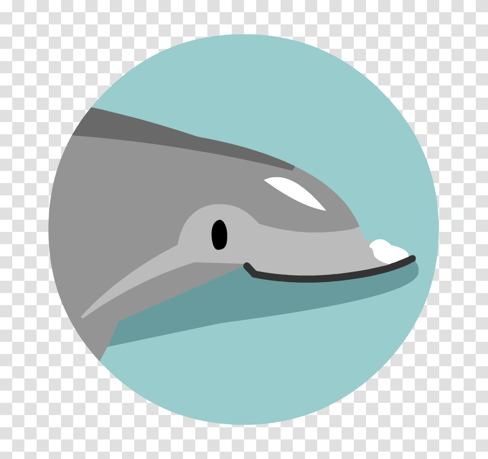 Sortify Ocean Life, Sea Life, Animal, Mammal, Helmet Transparent Png