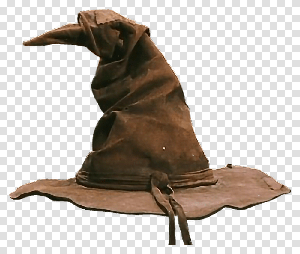 Sorting Hat Picture Harry Potter Sorting Hat, Apparel, Bronze, Person Transparent Png