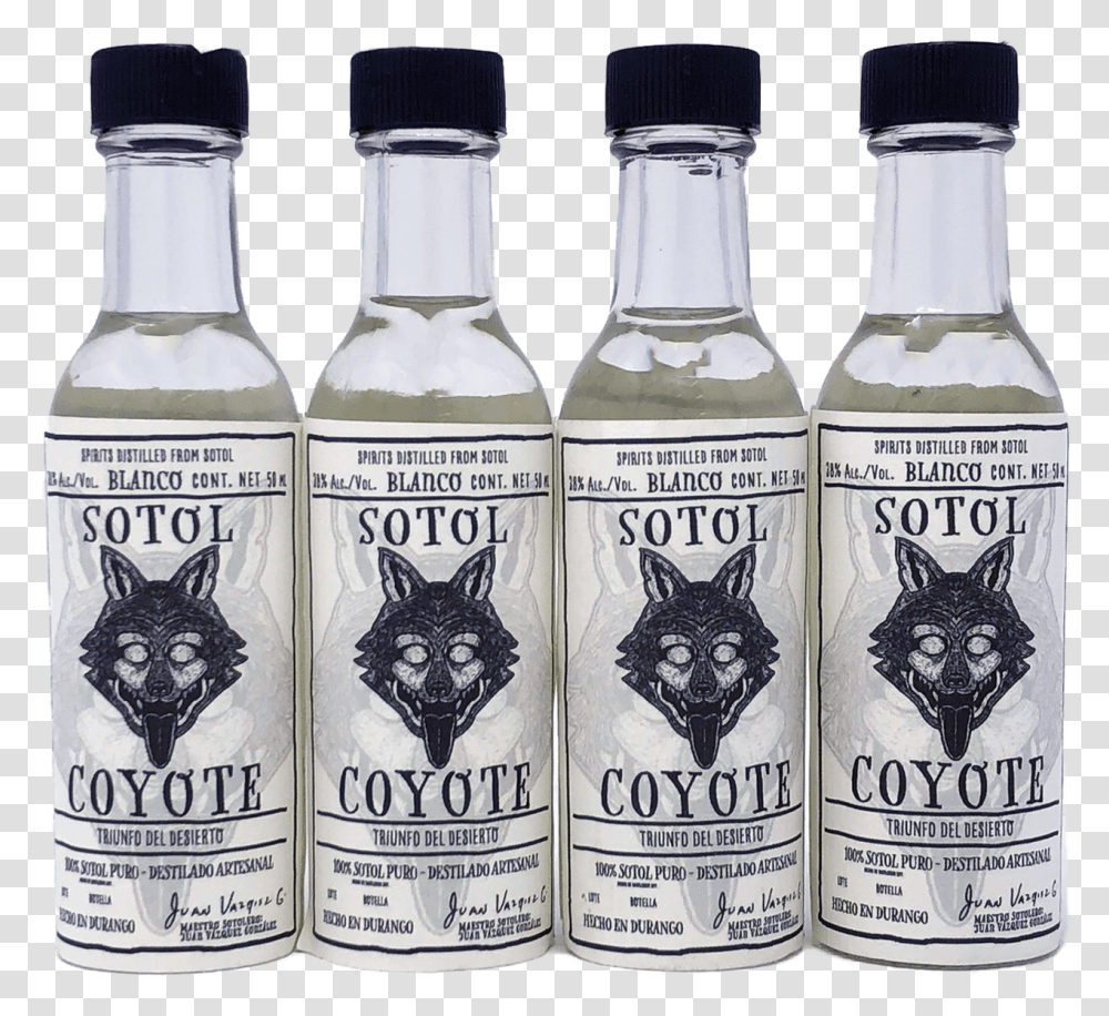 Sotol Coyote 38 Alc 50ml 4 Pack Glass Bottle, Liquor, Alcohol, Beverage, Drink Transparent Png