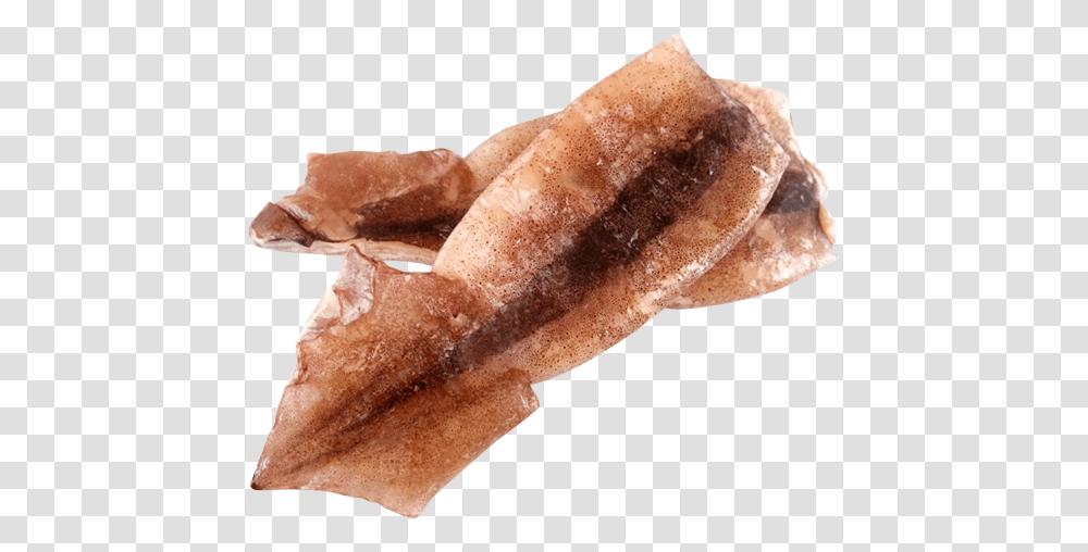 Sotong, Leaf, Crystal, Animal, Food Transparent Png