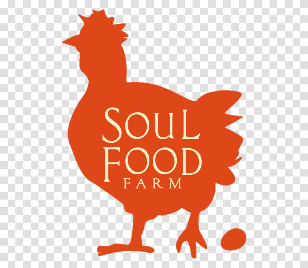 Soul Food, Poster, Advertisement, Animal, Bird Transparent Png