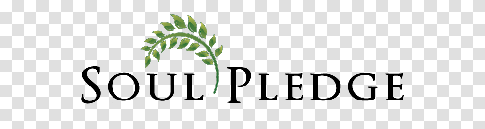 Soul Pledge, Plant, Leaf, Green, Fern Transparent Png