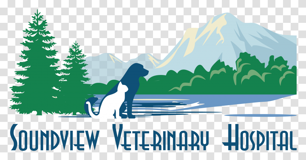 Soundview Veterinary Hospital Pine Tree Vector, Outdoors, Water, Nature, Sea Transparent Png