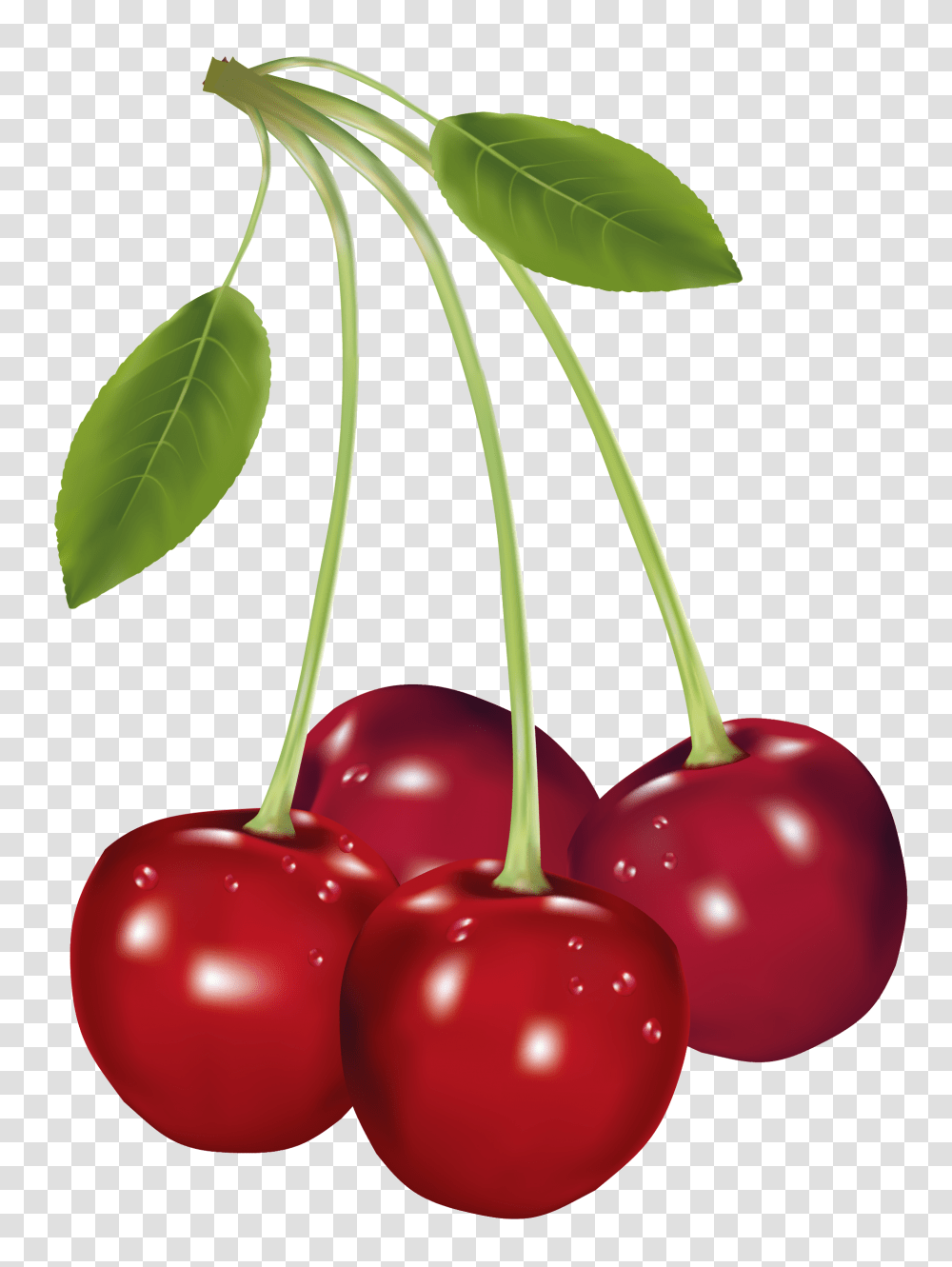 Sour Cherry Clip Art Best Web Clipart, Plant, Fruit, Food Transparent Png