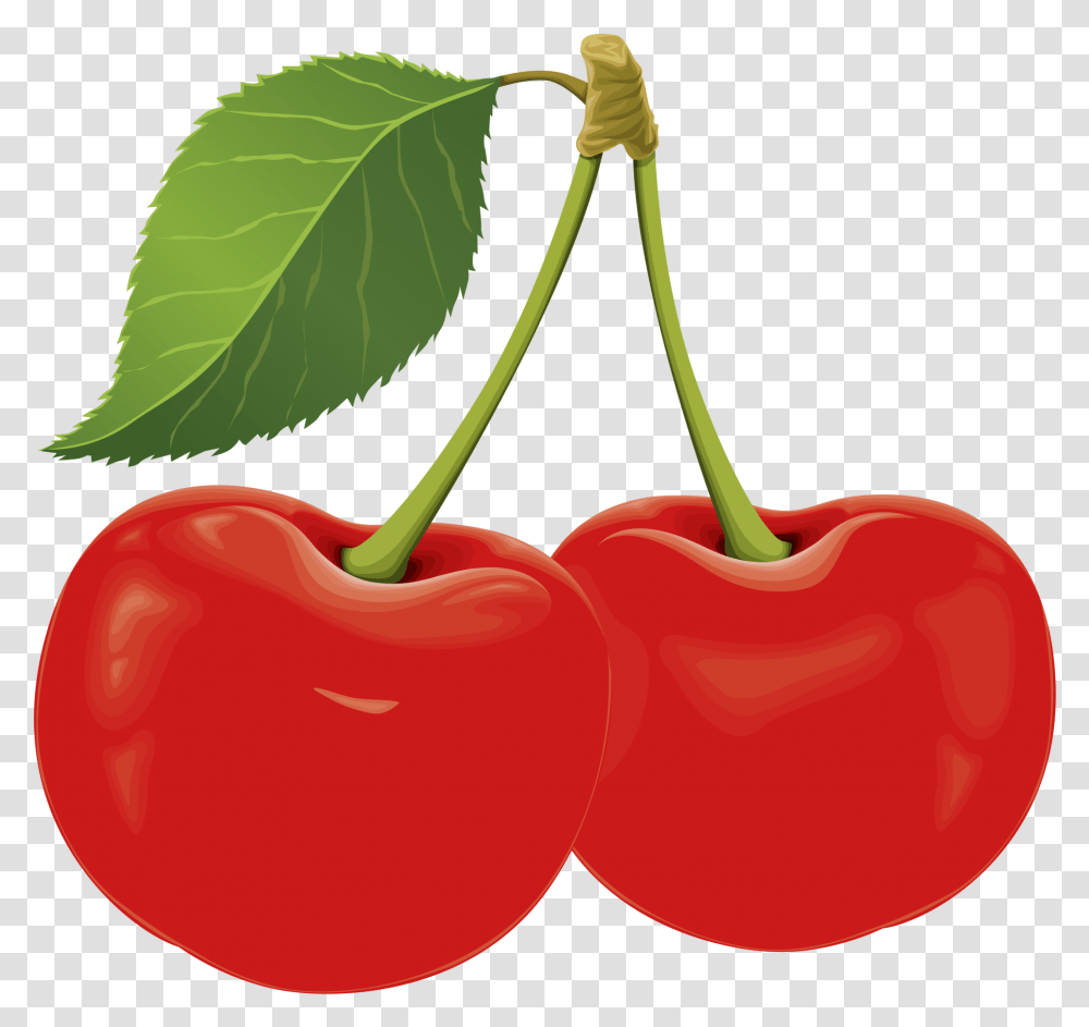 Sour Cherry Clip Art Cherry Clipart, Plant, Fruit, Food, Shovel Transparent Png