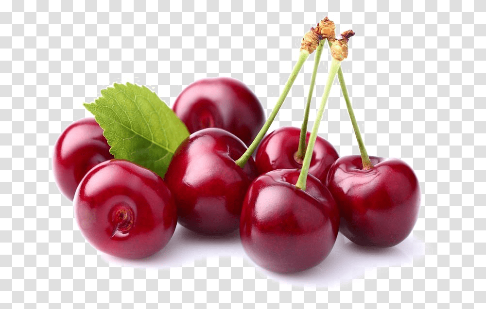 Sour Cherry, Plant, Fruit, Food Transparent Png