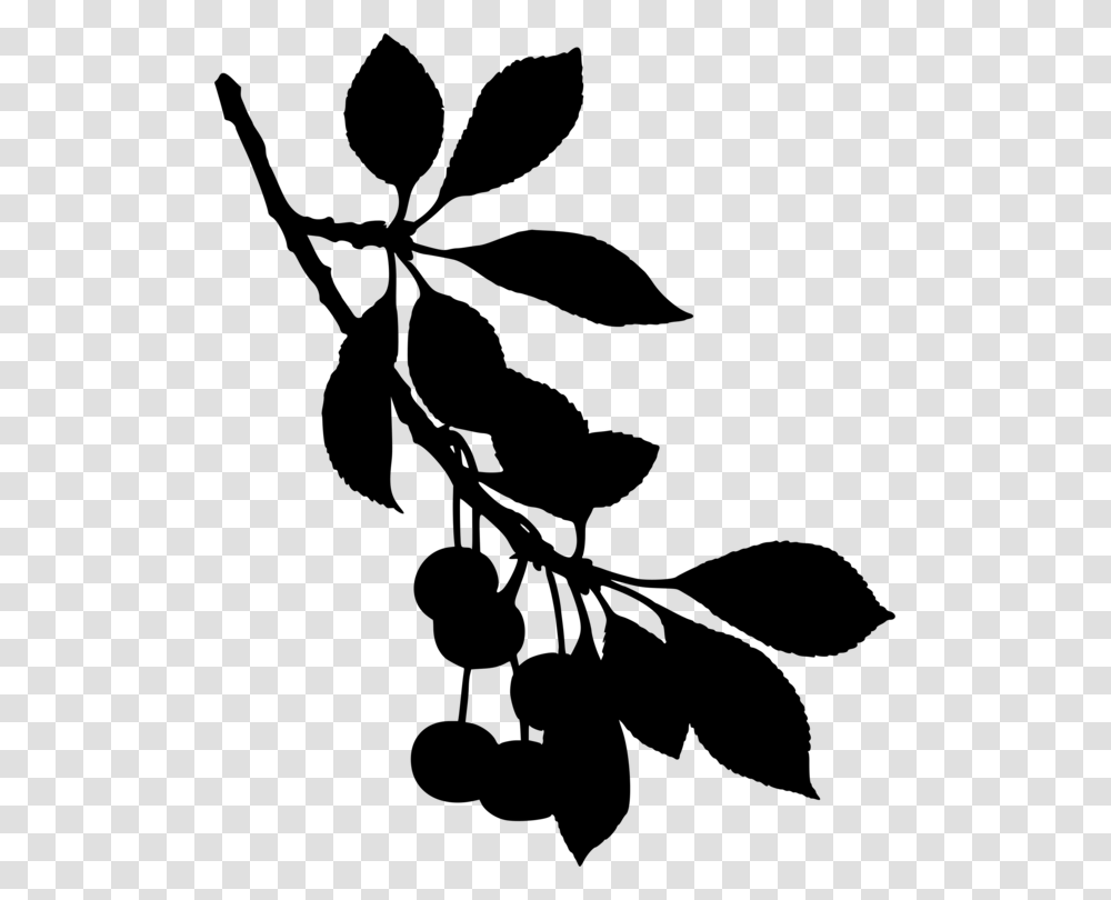 Sour Cherry Tree Cherry Blossom Fruit, Gray, World Of Warcraft Transparent Png