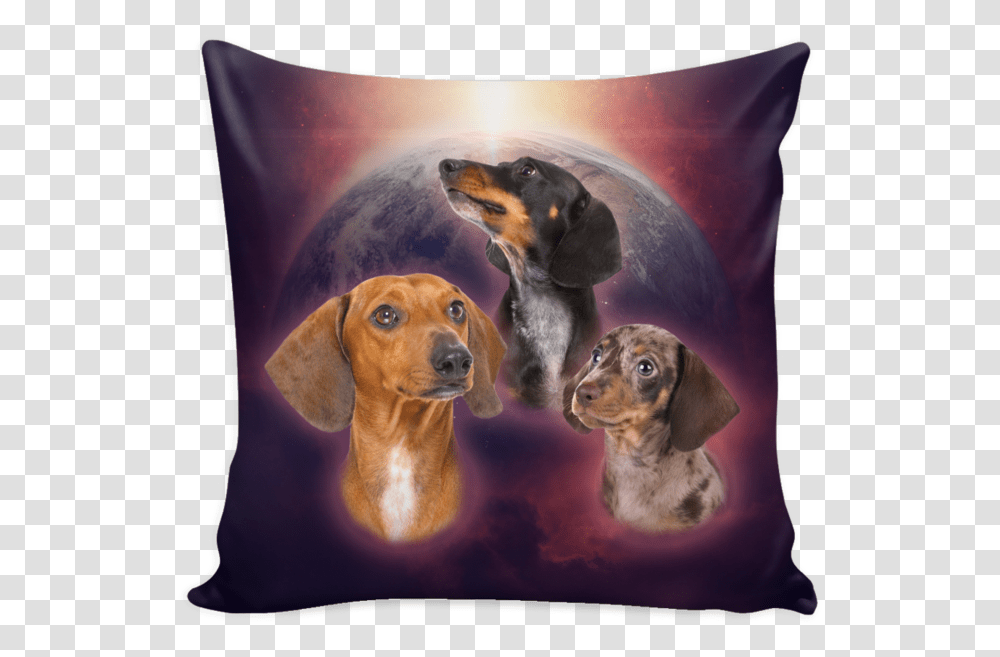 South Africa Roots American Tree, Cushion, Dog, Pet, Canine Transparent Png