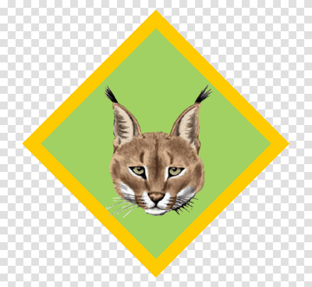 South African Scout Clipart Cubs South Africa Badges, Cat, Pet, Mammal, Animal Transparent Png