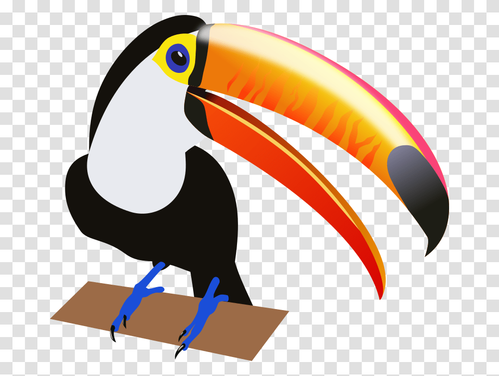 South America Clipart Toucan Bird, Beak, Animal, Helmet Transparent Png