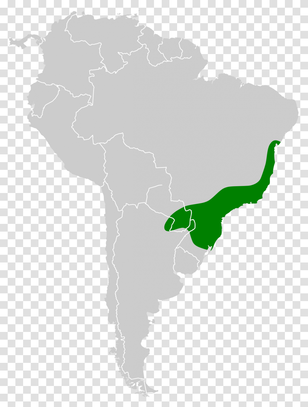 South American Championship, Map, Diagram, Plot, Atlas Transparent Png