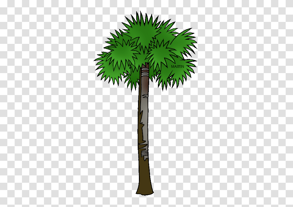South Carolina Gamecock Garnet Palmetto Tree University Of South, Plant, Cross, Palm Tree Transparent Png