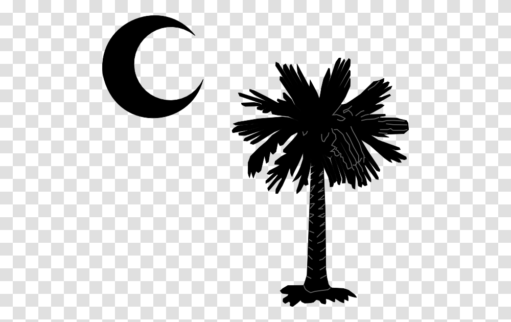South Carolina Palm Tree Logo, Plant, Arecaceae Transparent Png
