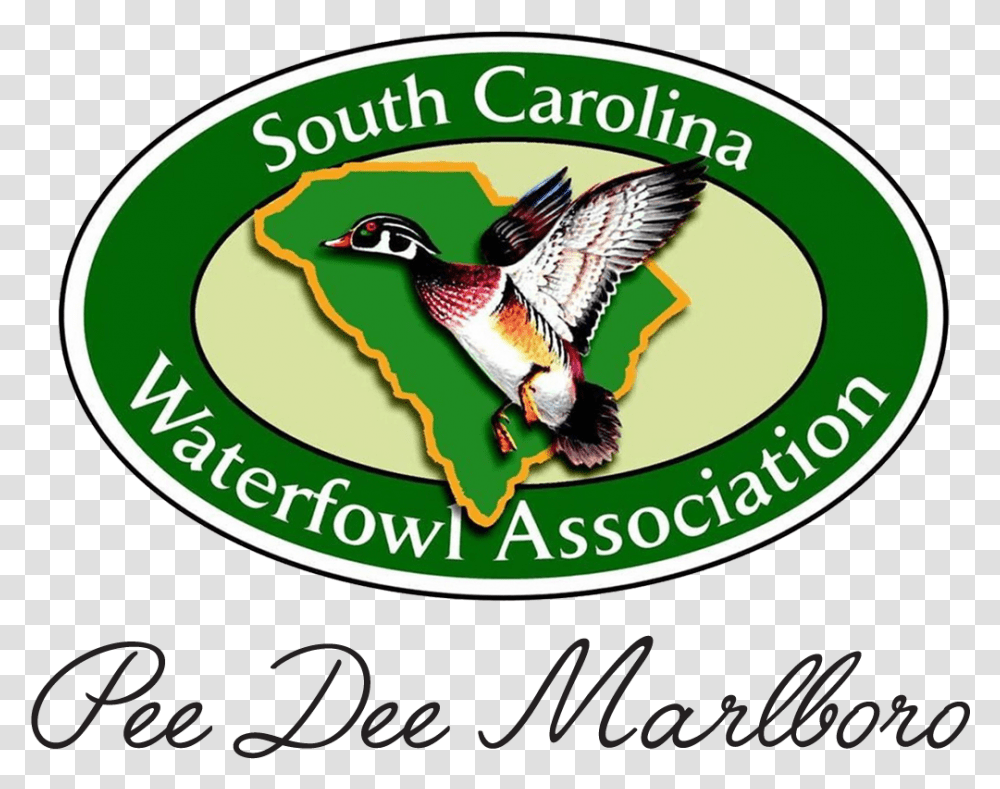 South Carolina Waterfowl Association, Bird, Animal, Logo Transparent Png