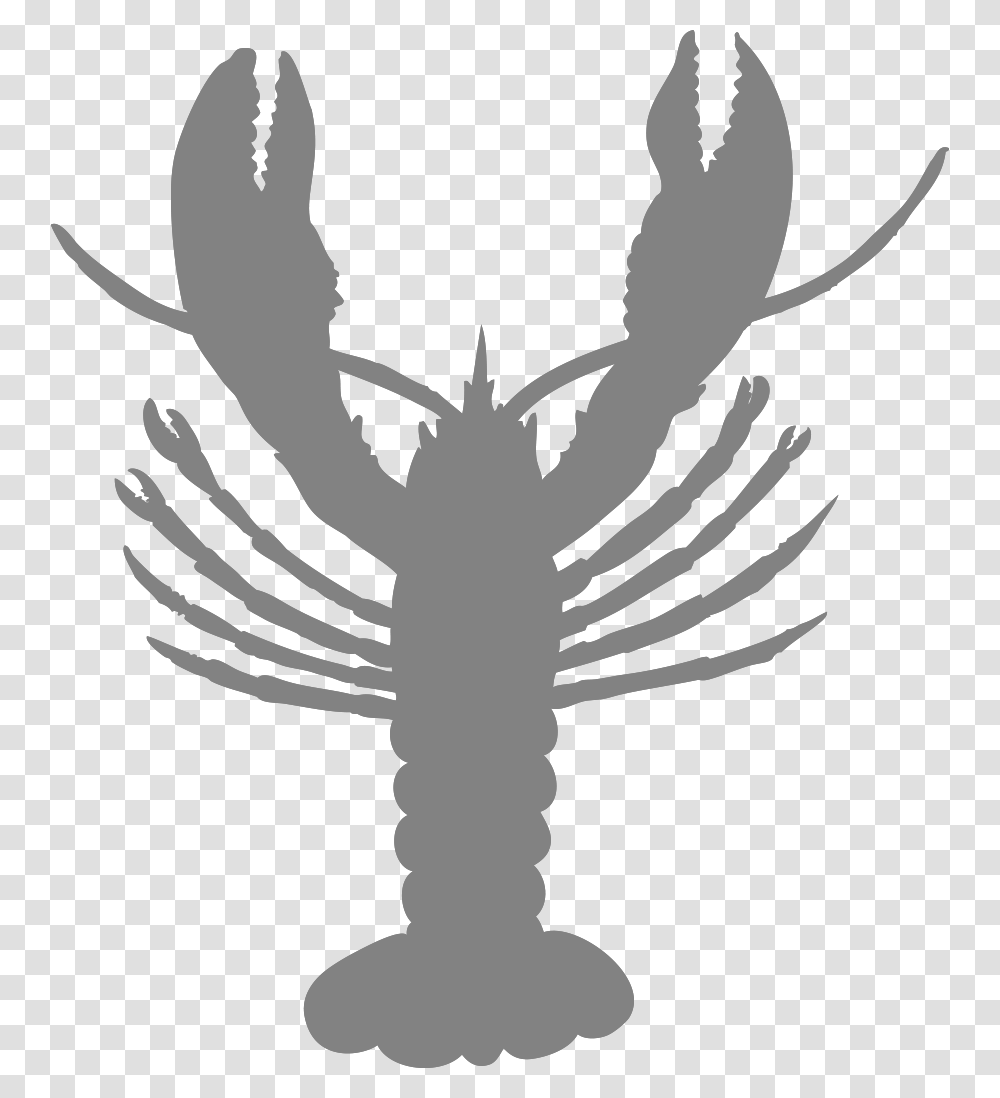 South Coast Seafood, Gray Transparent Png