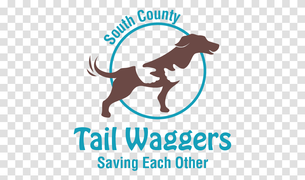 South County Tail Waggers, Poster, Advertisement, Mammal, Animal Transparent Png