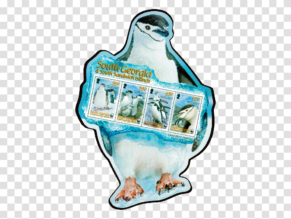 South Georgia Amp Sandwich Islands 2008 Penguin Stamp, Bird, Animal, Money, Hand Transparent Png